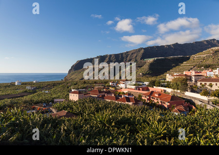 View over the banana plantations and the hotel Hacienda de Abajo in Tazacorte on La Palma, Canary Islands, Spain Stock Photo