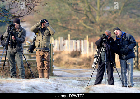 Male bird watchers or twitches with scopes and cameras. Stock Photo