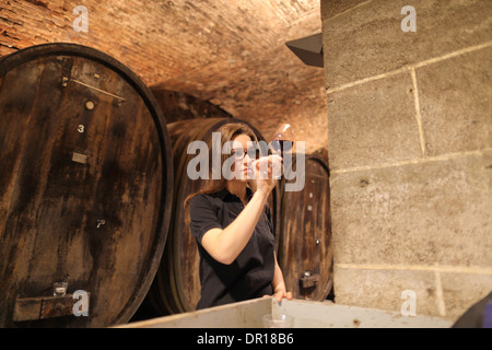 cellarmaster  womancellarer controlling wine in wine cellar Stock Photo