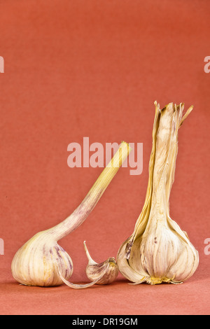 2 Head of garlic with toe Stock Photo