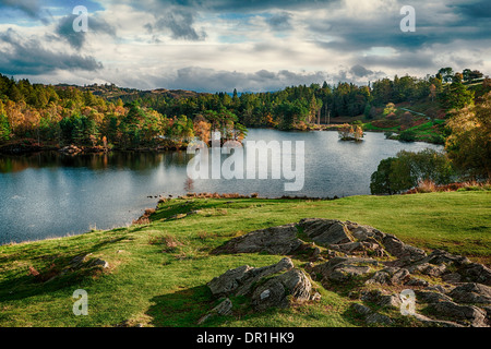Tarn Hows, near Hawkshead, Lake District, England Stock Photo
