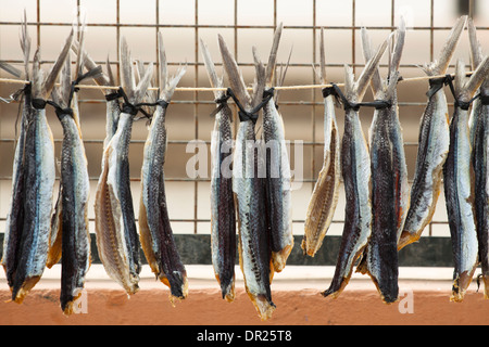 Dried fish hanged outdoors. La Linea, Cadiz, Andalusia, Spain. Stock Photo