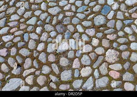 Old paved roadway as background Stock Photo