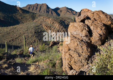 Hiking in the Desert, Tucson Mountain Park, Tucson, Arizona Stock Photo