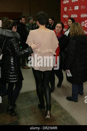 Park City, UT, USA. 17th Jan, 2014. Maggie Gyllenhaal at arrivals for FRANK Premiere at Sundance Film Festival 2014, The Eccles Theatre, Park City, UT January 17, 2014. Credit:  James Atoa/Everett Collection/Alamy Live News Stock Photo