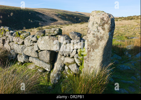 Gateway through a granite drystone wall in West Dart river valley towards Beardown Tors, Dartmoor, Devon Stock Photo