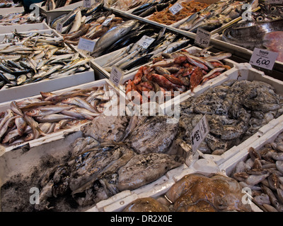 a variety of fishes and other seafood on an Italian fishmongers stall Stock Photo