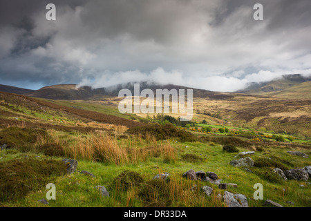 Mist on the tops of the Comeragh Mountains in the Nire Valley, County Waterford, Ireland Stock Photo