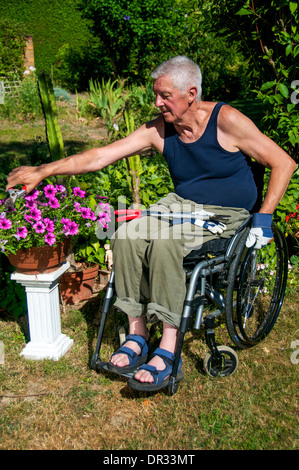 Retired person in a wheelchair doing gardening. Stock Photo