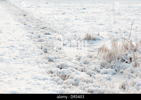 Field covered in snow Stock Photo