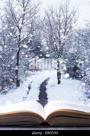 Open book with winter woodland background and falling snow Stock Photo