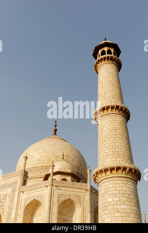 Details of the Taj Mahal Stock Photo