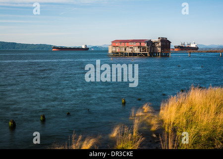 Old cannery and pilings in the Columbia River, Astoria, Oregon, USA Stock Photo