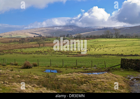 Shafts of sunlight on wet windswept fields, farmland on northern edge of the Caldbeck fells, winter, Cumbria Lake District UK Stock Photo