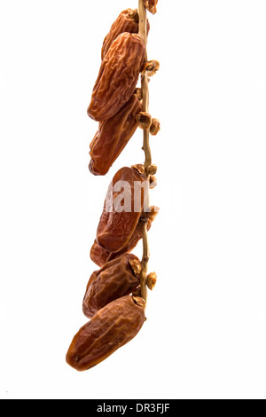 Dry dates isolated on white background Stock Photo