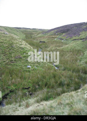 The peat and boggy source of the River Severn in Mid-West Wale Stock Photo