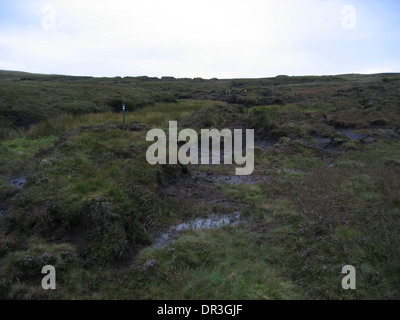 The peat and boggy source of the River Severn in Mid-West Wales. Stock Photo
