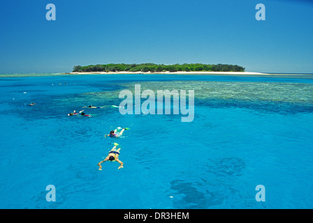 Tourists snorkelling in clear blue waters of lagoon close to tiny emerald island of Australian Great Barrier Reef Queensland Stock Photo