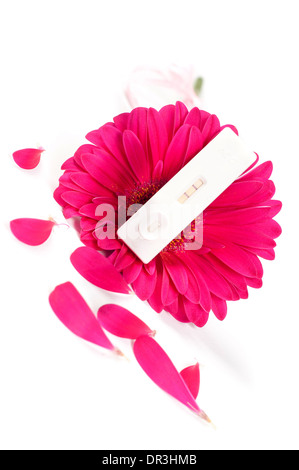 Positive pregnancy test and gerbera Stock Photo