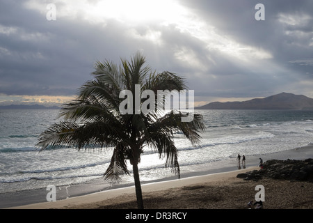 Palm tree silhouetted against dark sky with sun bursting through cloud in winter in Puerto del Carmen, Lanzarote, Canary Islands Stock Photo