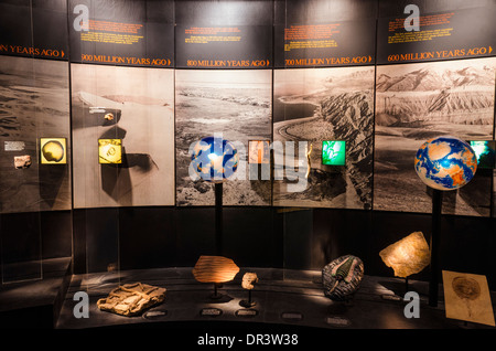 Interpretive display at the Arizona-Sonora Desert Museum, Tucson ...