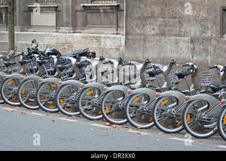 Bicycle parking on a street in the city of Paris. Stock Photo