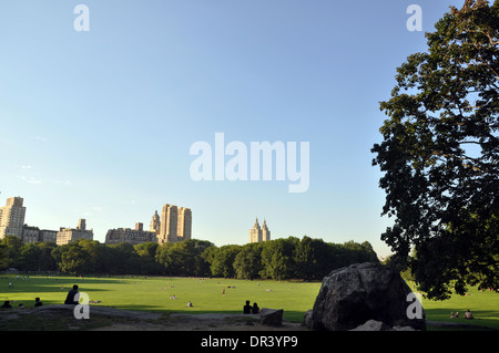 The great lawn in Central Park (New York City) Stock Photo