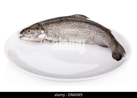 Rainbow trout isolated on white background Stock Photo