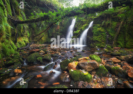 A double waterfall at Venford, Dartmoor National Park Stock Photo