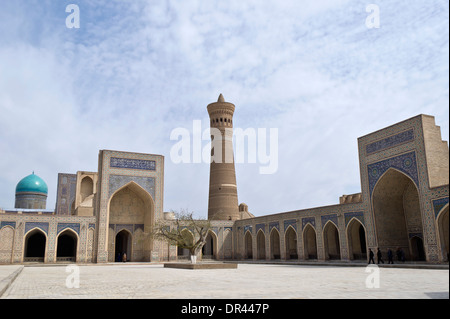 Kalon Mosque and Minaret, Bukhara, Uzbekistan Stock Photo