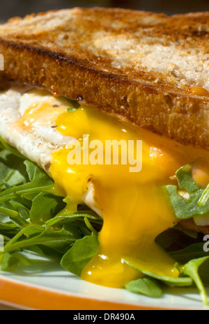 Runny egg breakfast sandwich Stock Photo