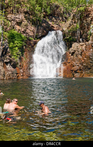 Florence falls and plunge pool in litchfield national park,northern territory,australia