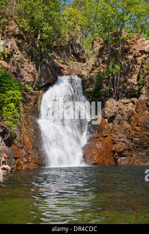 Florence falls and plunge pool in litchfield national park,northern territory,australia