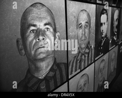 Photos of holocaust victims on the walls of Auschwitz in Poland Stock Photo