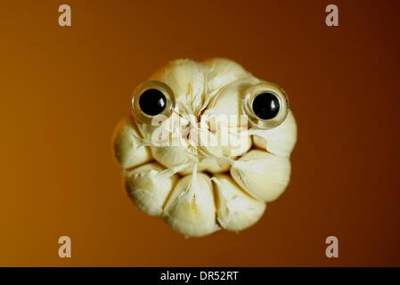 Animals created from fruit and vegetables Stock Photo