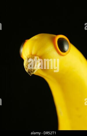 Animals created from fruit and vegetables Stock Photo