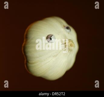 Animals created from fruit and vegetables Stock Photo