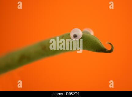 Animals created from fruit and vegetables Stock Photo