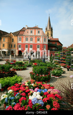 sibiu, romania, siebenbürgen, hermannstadt, transylvania, square