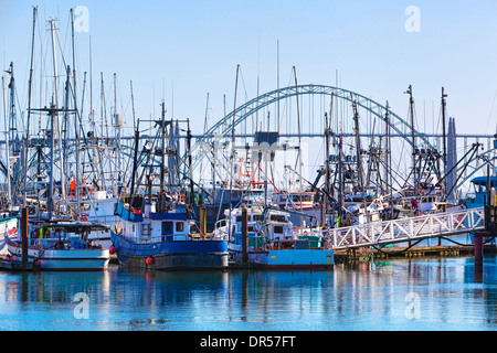 Boats mooring in harbor, Newport, Oregon, United States Stock Photo