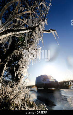 Ashbourne, Peak Districk, UK . 20th Jan, 2014. After overnight temperatures plummet icicles form in a road-side hedgerow in Calwich, near Ashbourne, Derbyshire. Credit:  Joanne Roberts/Alamy Live News Stock Photo