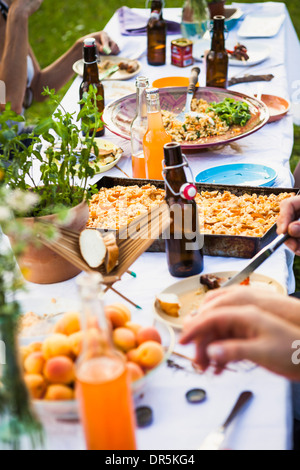 Barbecue on the riverside, picnic table, Bavaria, Germany Stock Photo