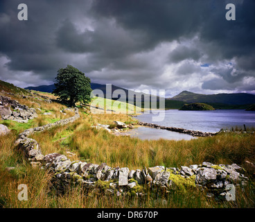 A view of Llyn Dywarchen in Snowdonia National Park, Wales, UK Stock Photo