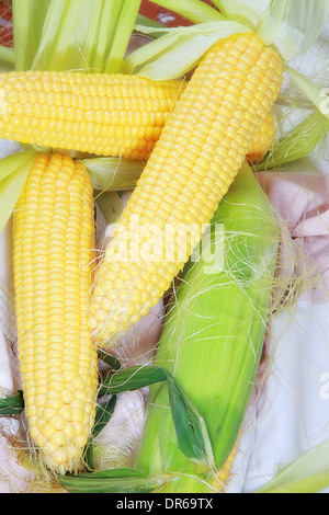 peeled corn on the cob Stock Photo