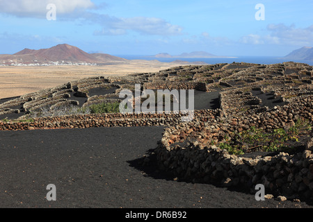 cultivation of wine at La Geria, Lanzarote, Canary islands, canaries, spain Stock Photo