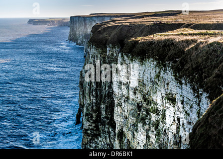 Bempton Cliffs RSPB site on East Coast of England Stock Photo