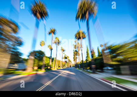 Beverly Hills drive through with motion blur.