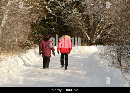 Locals walking down a wooded road during the Ice storm in Valcourt, Quebec Stock Photo