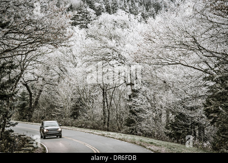 Smoky Mountains roadway in Tennessee, USA. Stock Photo