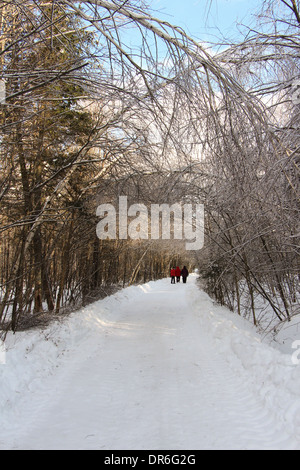 Locals walking down a wooded road during the Ice storm in Valcourt, Quebec Stock Photo